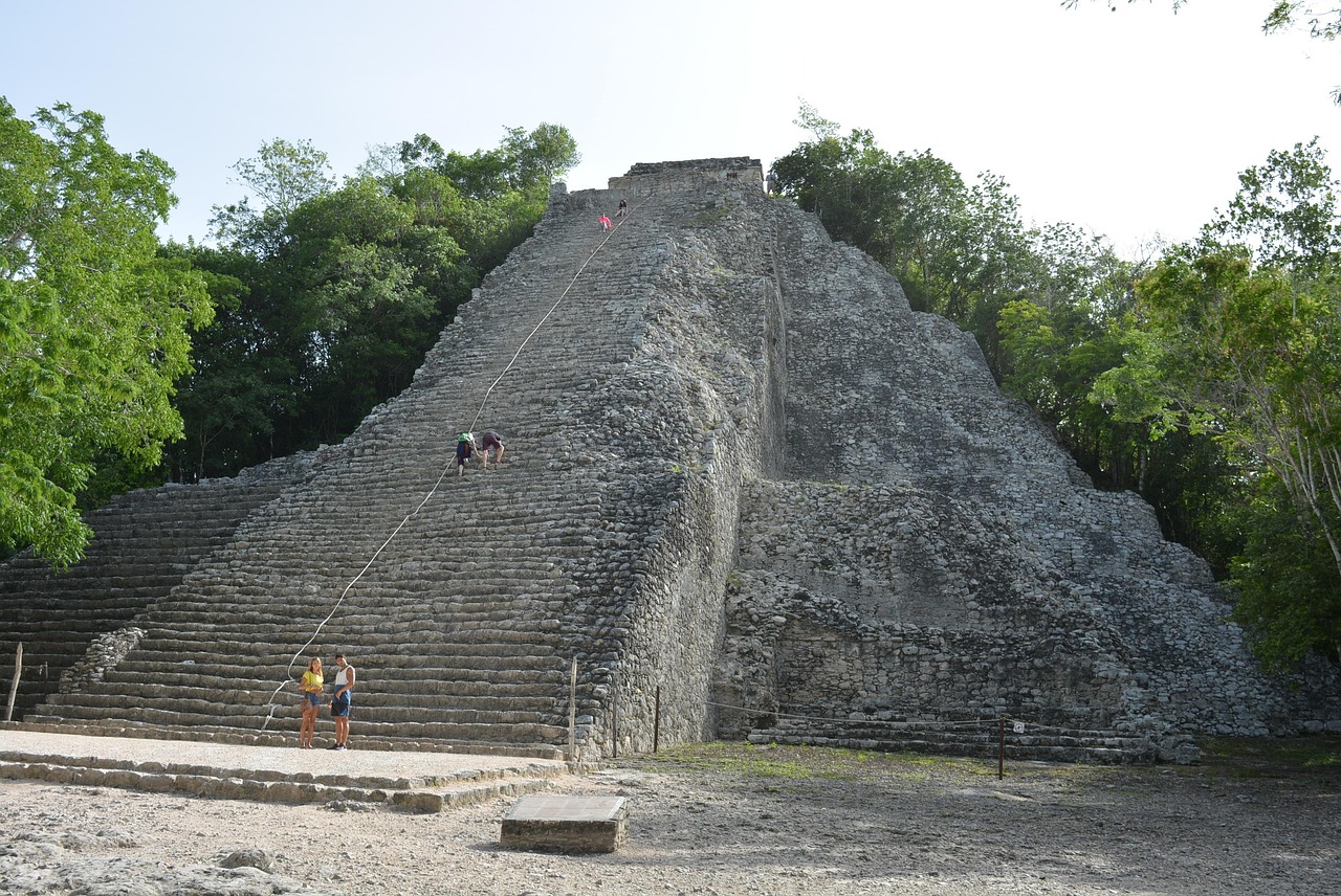 Uploaded image